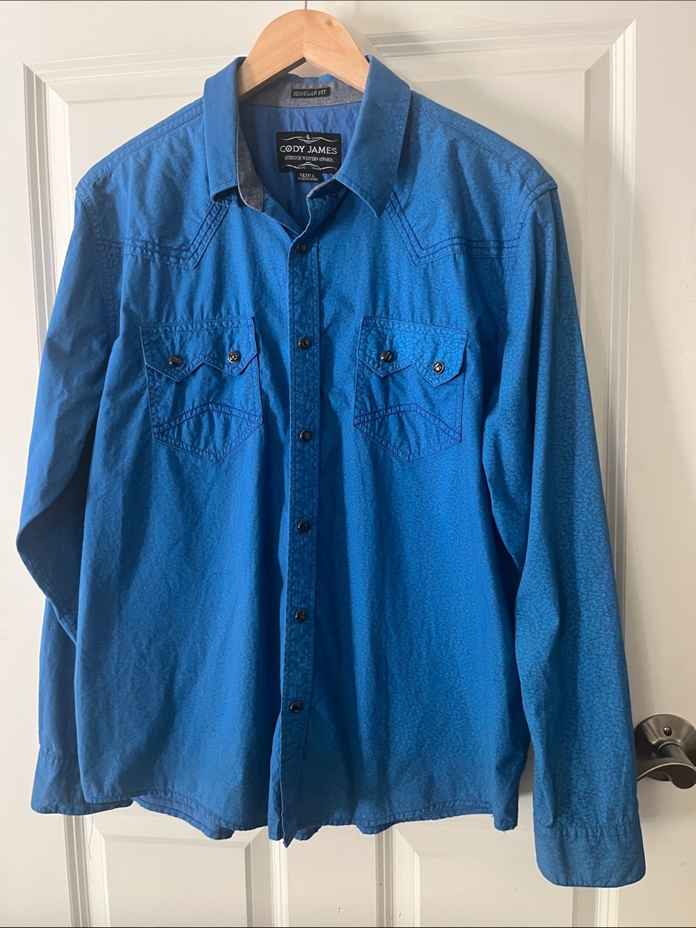 Cody James ditsy floral western, long sleeve, Pearl snap button down shirt